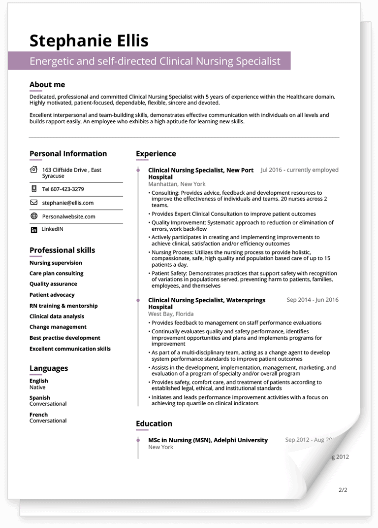 Professional CV Template